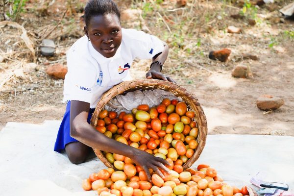 From Small-scale Farming to Agribusiness Success