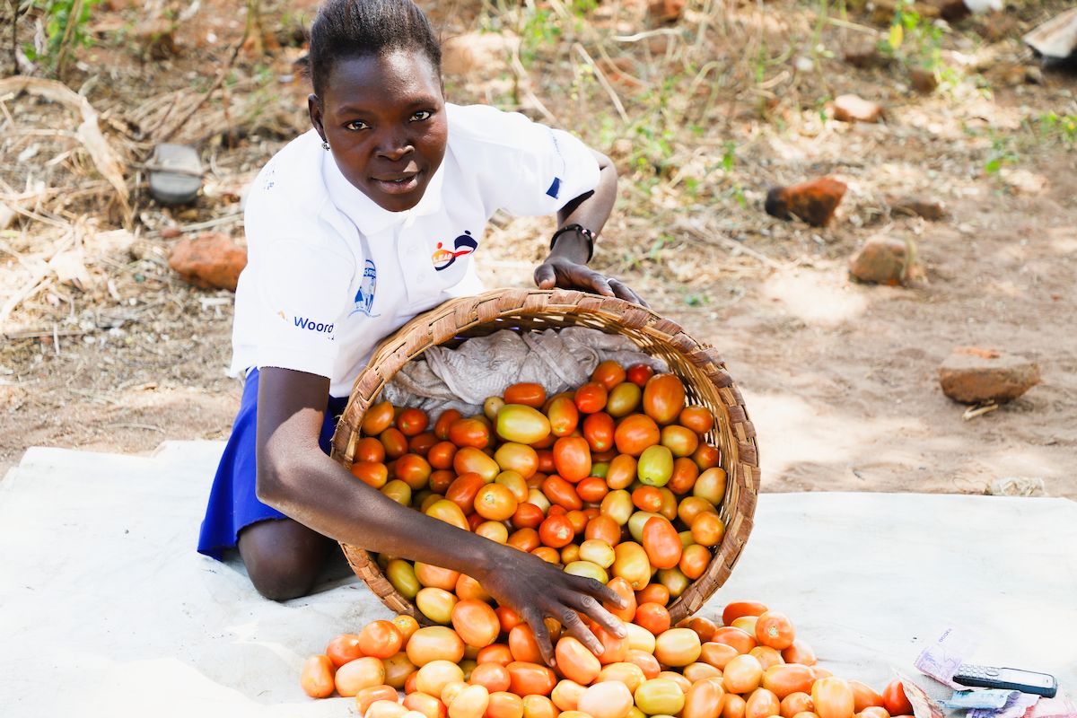 From Small-scale Farming to Agribusiness Success